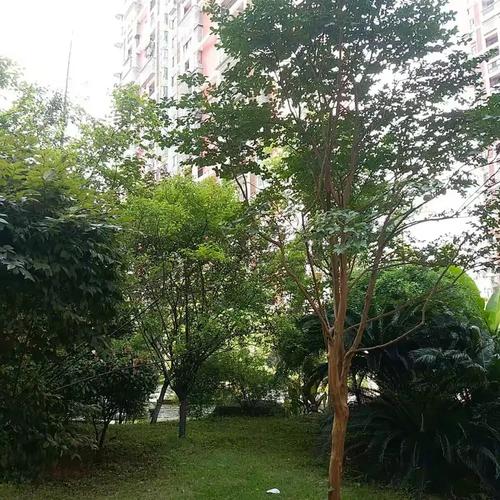 物业管理是指物业服务企业,按照物业服务合同约定,对房屋及配套的设施